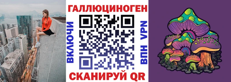 Купить  Кяхта  Псилоцибиновые грибы Cubensis 
